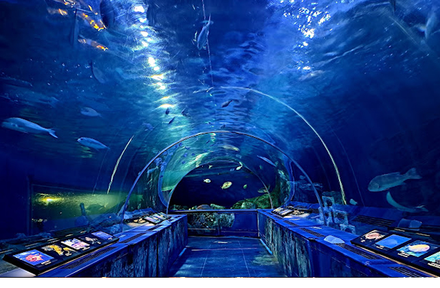 自治体による補助金について