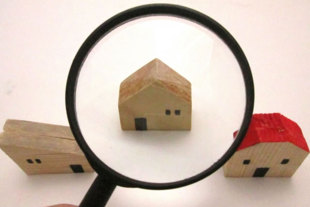 現地調査の実施